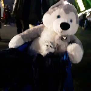 Meet your Posher, Doug